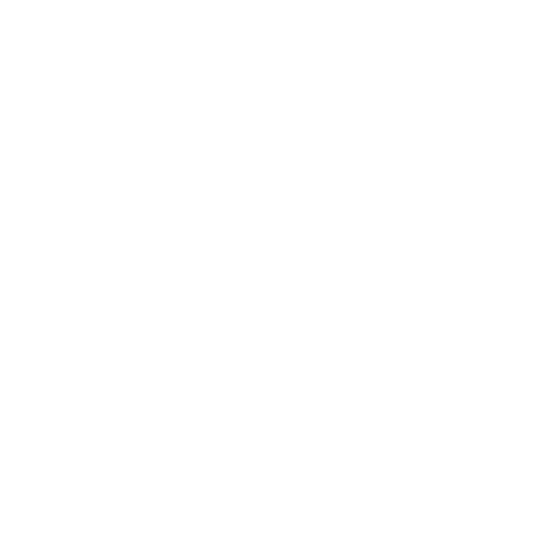 solutions-icon-workflow-white.png