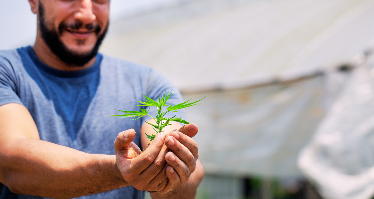 end to end supply chain